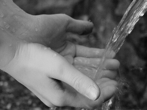 6 Easy Ways To Conserve Water