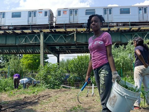 Localization and the Economics of Happiness