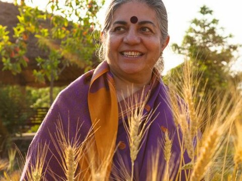 Everything I Need to Know I Learned in the Forest…