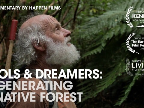 Man Spends 30 Years Regenerating Farmland into Amazing Forest