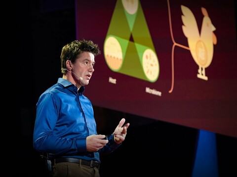 The urgent case for antibiotic-free animals | Leon Marchal