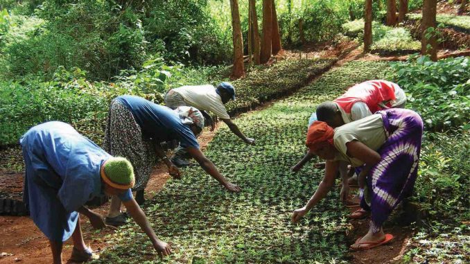 women working